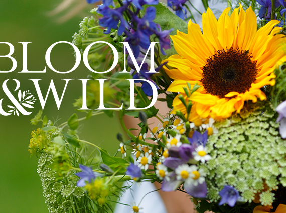 Bloom & Wild