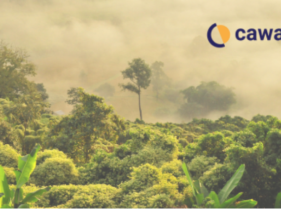 Cawa (Fund traceable climate action) GB
