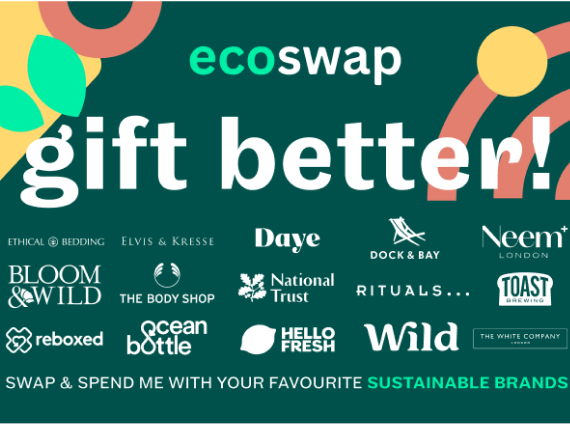Ecoswap