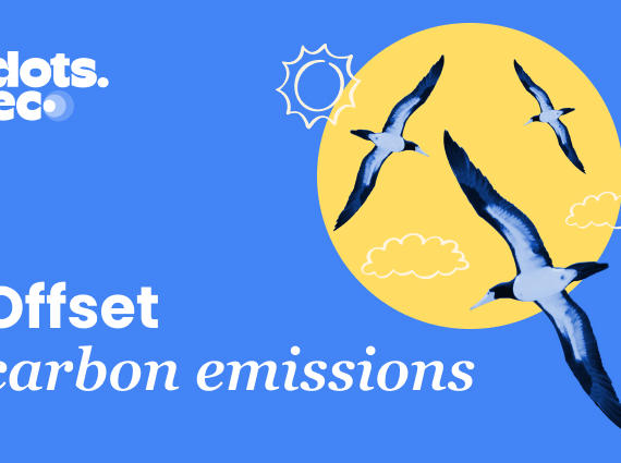 Dots.eco - Offset Carbon Emissions