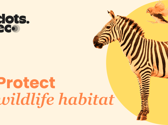 Dots.eco - Protect Wildlife Habitat