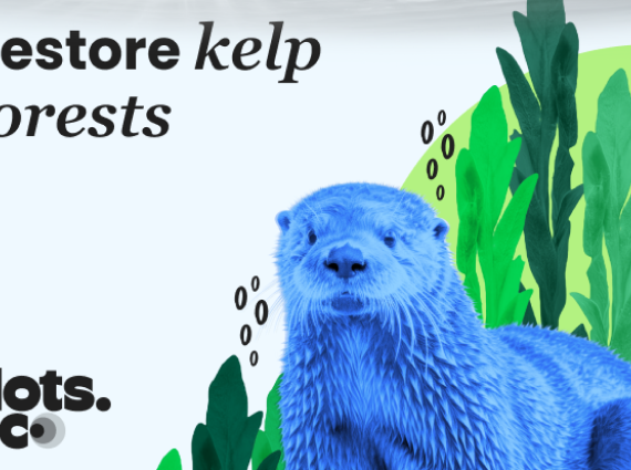 Dots.eco - Support Rescued Pets GB