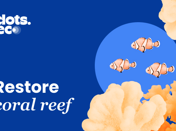 Dots.eco - Restore Coral Reef