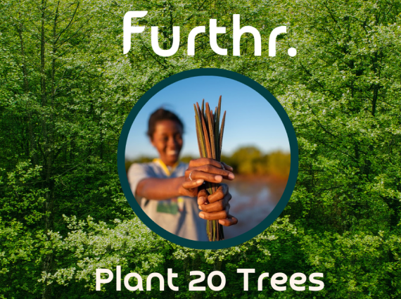 Plant 20 Trees 20