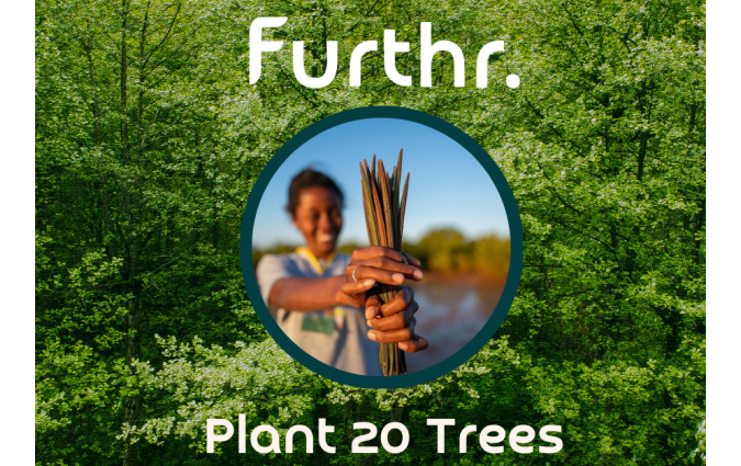 Plant 20 Trees 20