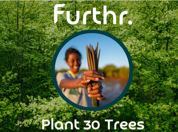 Plant 30 Trees