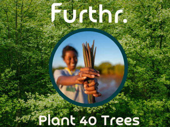 Plant 40 Trees