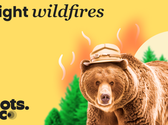 Dots.eco - Fight Wildfires GB